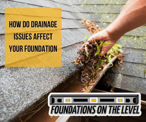 Blog  General Information and Answers from Level Home Foundation