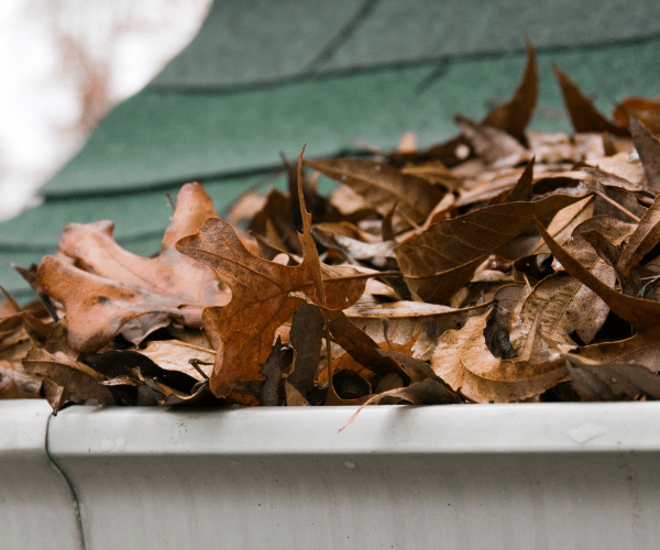 Clogged gutters cause water to buildup around your foundation, leading to a wet crawlspace. 