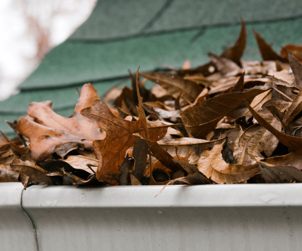 Clogged gutters cause water to buildup around your foundation, leading to a wet crawlspace.